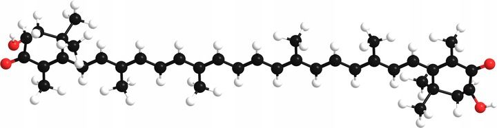Astaksantyna FORTE 90 kapsułek ANTYOKSYDANT zdjęcie 5