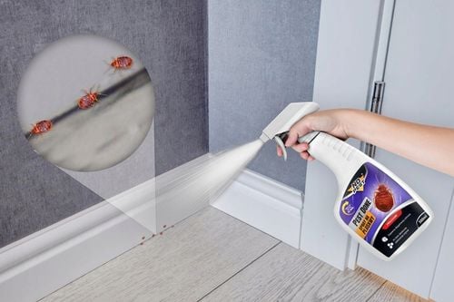 MOCNY ŚRODEK SPRAY PREPARAT NA PLUSKWY PRUSAKI 500ML 2 SZTUKI na Arena.pl