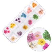 36x MollyNails Ozdoby Do Paznokci Suszone Kwiaty Kasetka 36w1 Zestaw B