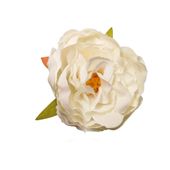 Peonia wyrobowa 12szt