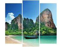 OBRAZ DZIKA AZJATYCKA PLAŻA