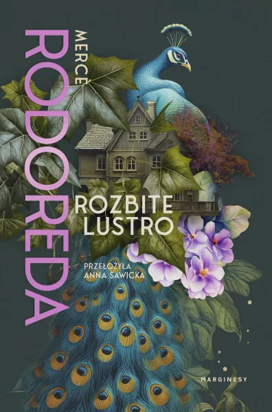 Rozbite lustro zdjęcie 1