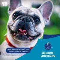 VITAR Veterinae ArtiVit Forte