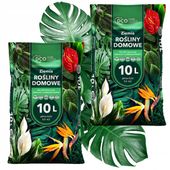 ZIEMIA DO KWIATÓW DONICZKOWYCH monstery palm juk zamiokulkasa