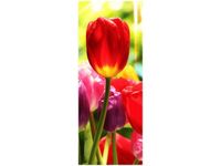40X100CM SŁONECZNE TULIPANY OBRAZ PION