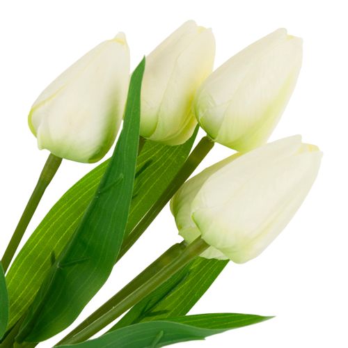 Tulipan Bukiet Tulipanów Piękny Jak Żywy Tulipany Kwiaty Białe Ecru X5 na Arena.pl
