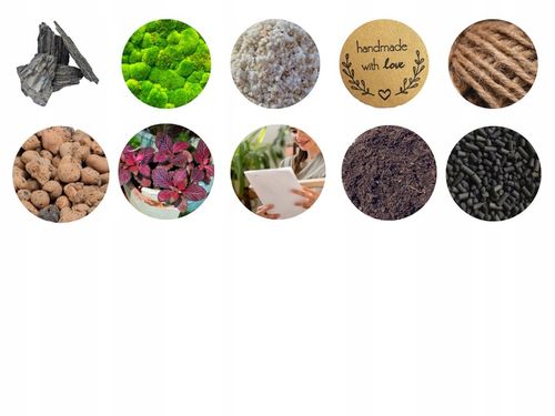 LAS W SŁOIKU SZKLE KOMPLETNY 10 elementów Z ROŚLINKĄ I KULA SŁÓJ ZESTAW na Arena.pl