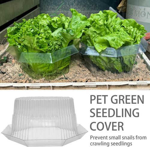 Obroże Kołnierze Przeciw Ślimakom 20 Sztuk 24 cm Ochrona Roślin Warzyw na Arena.pl