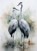 Plakat 13x18cm Tańczące Czaple