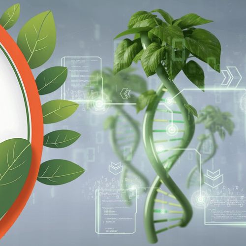 Bakterie do szamba na ROK Tabletki do oczyszczalni 12+3szt GRATIS na Arena.pl