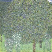 Plakat 50x50cm Rosebushes under the Trees, Klimt Vintage
