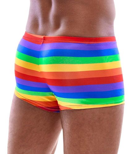 men's boxer briefs rainbow xl na Arena.pl