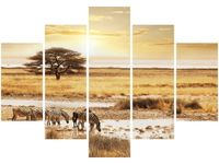 105CM 150CM OBRAZ 5 ELEM SAFARI DRUK