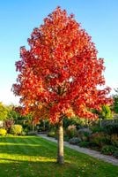 product-compare-63015449