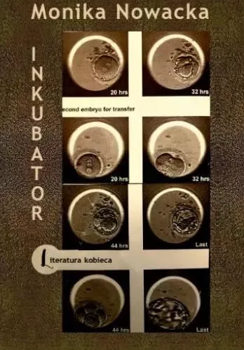 Inkubator zdjęcie 1