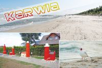 Karwia – magnes