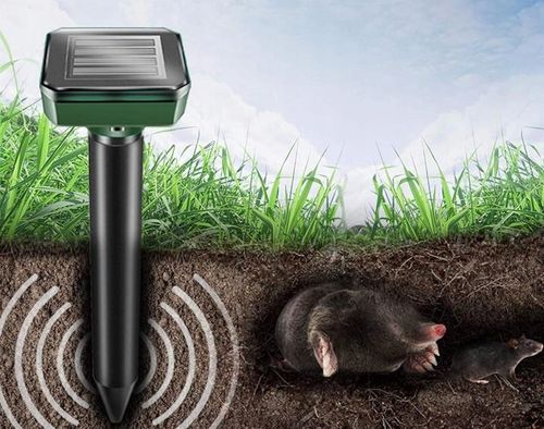 4X SILNY ODSTRASZACZ KRETÓW SOLARNY NA KRETY MOCNY na Arena.pl