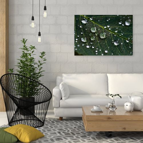 Deco Panel, Krople na liściu 60x40 na Arena.pl