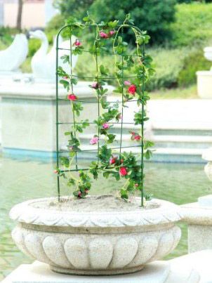 Podpora drabinkowa do roślin 75cm na Arena.pl