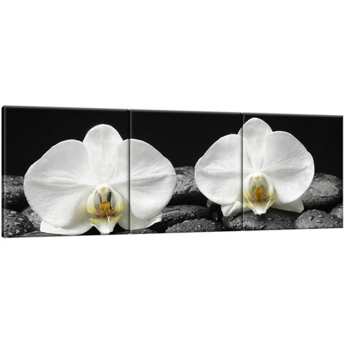 90X30 Obraz Na Prawdziwym Płótnie na Arena.pl