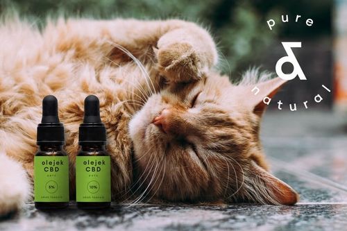 Olejek CBD 5% dla zwierząt 30 ml FULL SPECTRUM Pies Kot / Bez THC na Arena.pl
