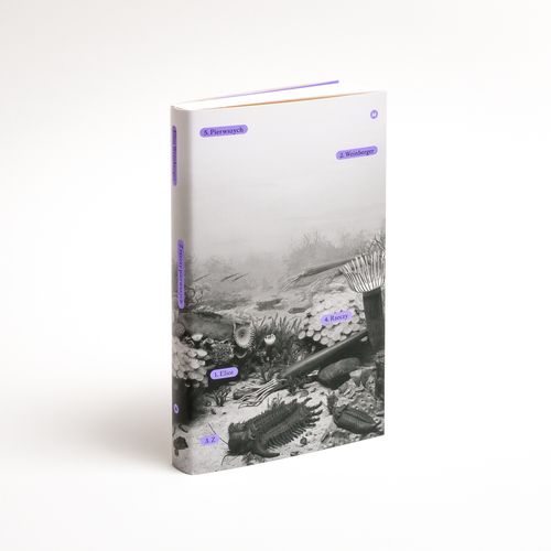 Z rzeczy pierwszych na Arena.pl