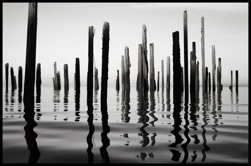 Plakat 91,5x60cm Refleksje Nad Wodą zdjęcie 2