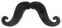 Sztuczne wąsy Artysta czarne