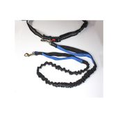 Smycz do biegania z amortyzatorem niebieska 1,8m