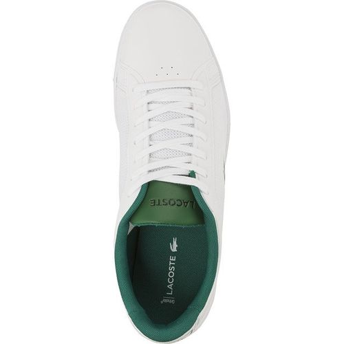 Lacoste ENDLINER 117 1 082 r.46 na Arena.pl
