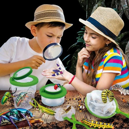 Gra naukowa Lisciani Giochi Insectos ES (6 Sztuk) na Arena.pl