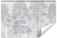 Fototapeta Do Sypialni LAS We Mgle Abstrakcja Beton 360cm x 240cm
