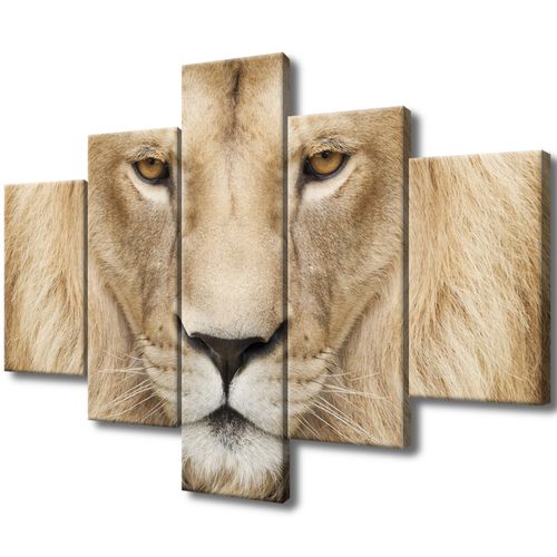 Obraz Płótno 100X70 Król Zwierząt na Arena.pl