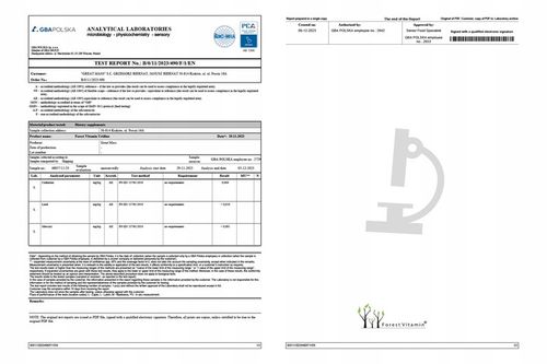 FOREST URYDYNA 60 kaps ALZHEIMER PAMIĘĆ DEPRESJA na Arena.pl