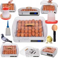 INKUBATOR KLUJNIK WYLĘGARKA JAJ WYLĘGU 35 JAJ