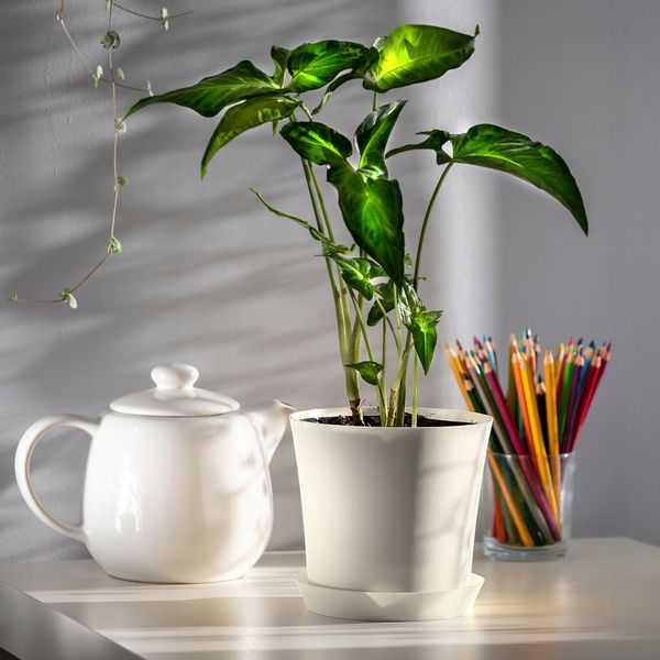 DONICZKA DONICA NA KWIATY OSŁONKA KOLORY 11CM zdjęcie 2