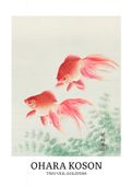 Plakat 50x70cm Two Veil Goldfish, Koson Vintage do Salonu