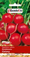 NASIONA Rzodkiewka Galaxy 10g PLANTICO 406179