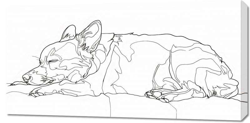 Obraz 100x50cm Śpiący Psiak zdjęcie 1