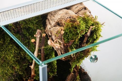Diversa Nanoterrarium 20x20x30 cm na Arena.pl