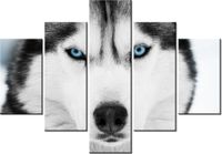 70 100CM OBRAZ 5 ELEM HUSKY SYBERYJSKI DRUK PŁÓTNO