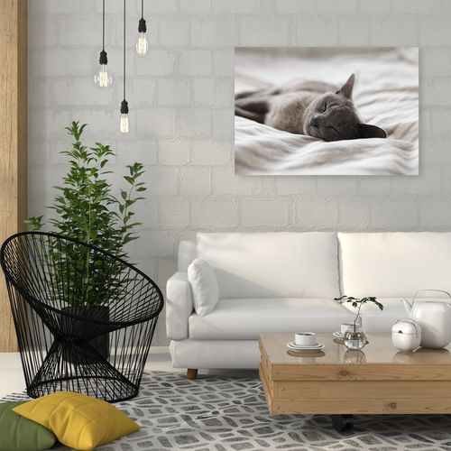 Deco Panel, Śpiący kot 90x60 na Arena.pl