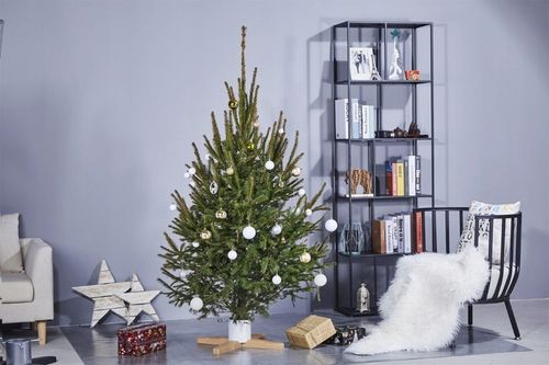 STOJAK NA CHOINKĘ CHOINKOWY METALOWY PODSTAWKA POD DRZEWKO POJEMNIK NA WODĘ na Arena.pl