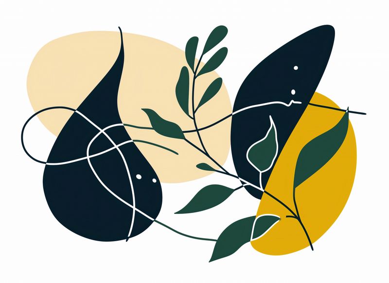 Plakat 55x40cm Natury Spojrzenie zdjęcie 1