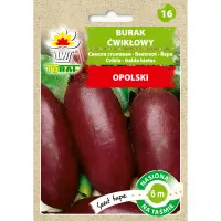 Burak ćwikłowy podłużny OPOLSKI (taśma 6m)