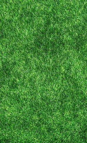 inco florovit trawa 5kg uniw. na Arena.pl