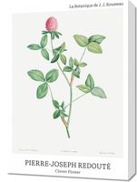 Obraz 50x70cm Design Clover Flower, Redoute Vintage do Salonu