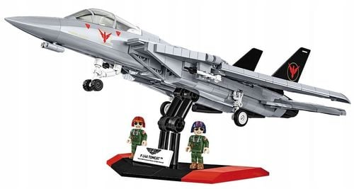 Top Gun - Grumman(R) F-14 Tomcat na Arena.pl
