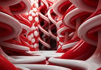 Plakat 66,5x46,5cm Czerwone Wiry