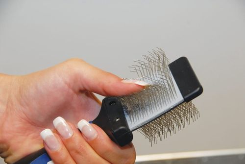 Show Tech Twin Flex Slicker szczotka do rozczesywania kołtunów - mała na Arena.pl